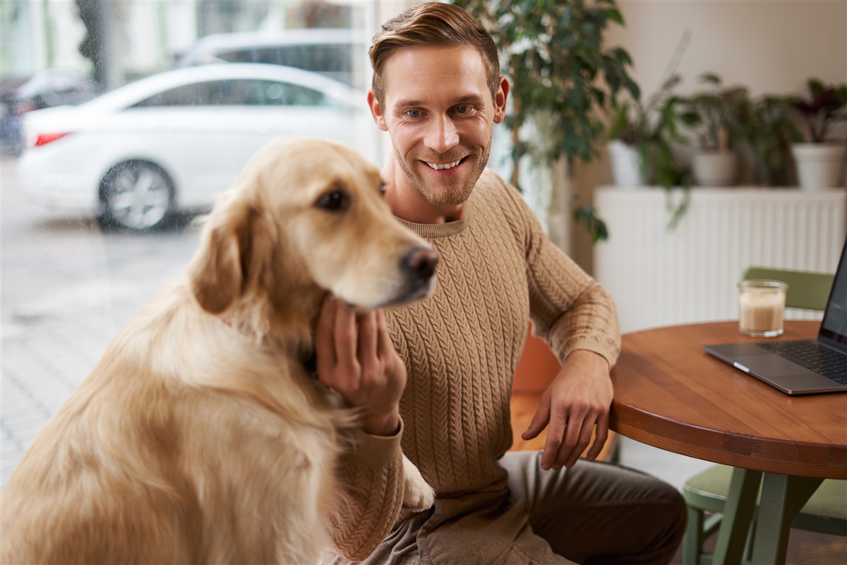 Comment votre chien exprime sa joie quand vous rentrez à la maison