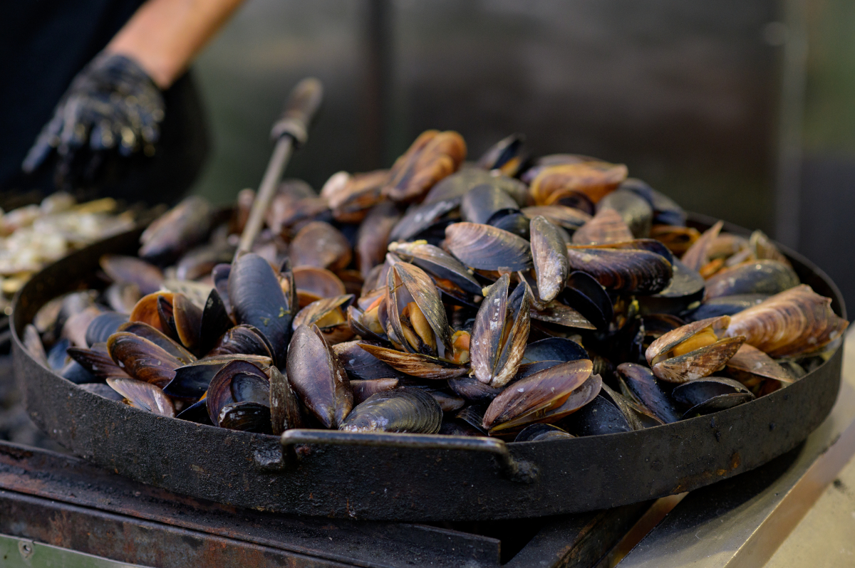 moules dans 1 litre